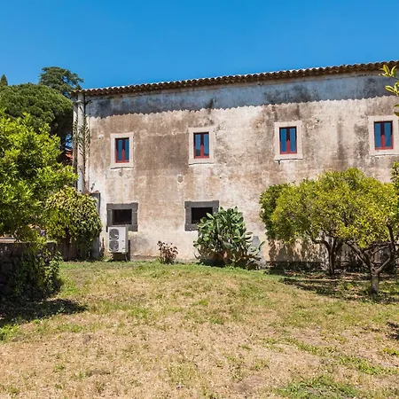 Franca La Casina *