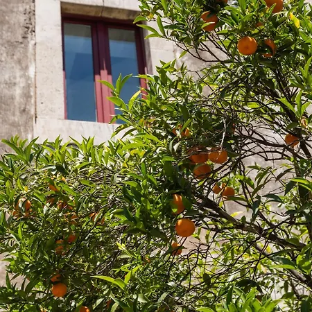 Franca La Casina Villa